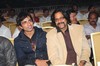 Star Night  Photo Gallery - 29 of 60
